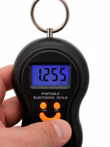 Весы - безмен электронные, подвесные до 50 кг Орбита OT-HOW10